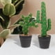 thumbnail image 2 of 2 piezas de cactus en maceta de plástico para decoración de escritorio, pequeñas figuras de cactus en maceta, decoración suculenta, 2 of 7