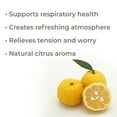 thumbnail image 2 of Plant Therapy Yuzu Essential Oil 5 mL (1/6 oz) 100% Pure, Undiluted, 2 of 7