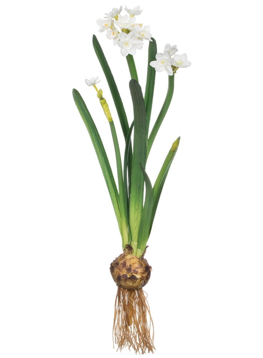 Sullivans Artificial Paperwhite With Bulb Stem 20"H White