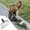 Style D, variant on Heavy Duty Snow Shovel with Long Handle, Multi Functional Cleaning Shovel for Driveway Snow Removal, Durable Ice Scraper Shovel for Car Roof Truck SUV