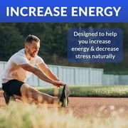 MiracleMulti One A Day Mens Multivitamin - Performance Blend Vitamin A C D3 E B12 with Probiotics, Superfood Enzyme, Immune Support, Heart Health, Energy & Stamina - 60 Servings