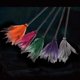 thumbnail image 4 of Halloween Witch Broom Wizard Flying Mesh Sheer Broom with Removable Plastic Handle Masquerade Cosplay Costume Prop Dress Up DecorationRose red, 4 of 5