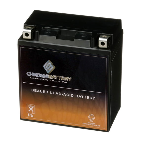 Chrome Battery Ytx20ch-bs (20ch-bs 12 Volt,18 Ah, 270 Cca) Sealed AGM Snowmobile Battery for Polaris Models