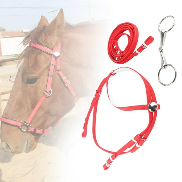 Bride Dressage - Briderie & accessoires - Felix Bühler