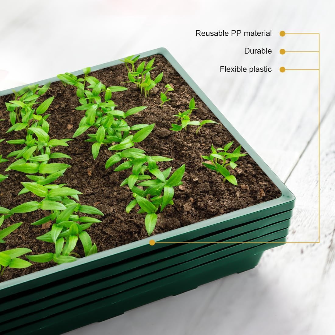 Seed Starter Plant Nursery Pots Trays, 5-Pack of Plastic Green Flats for Carrying and Holding Planting Pots