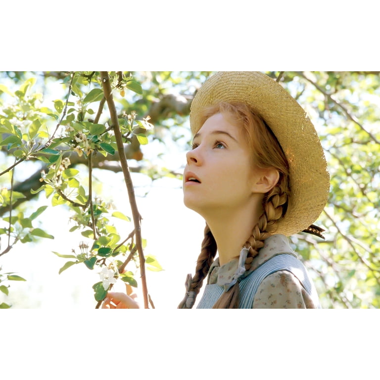 Anne of Green Gables — 3-Disc DVD Set (Drama, Family, Plays on All DVD ...