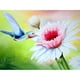 thumbnail image 1 of Pintura de diamante (DE4725) 5D DIY Punto de cruz de pájaro cuadrado para regalo (B1072) 20X30cm FLhrweasw Nuevo, 1 of 1