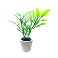 thumbnail image 3 of 1/12 Mini Plants, Mini Dollhouse Flowerpot, Doll House Mini Plant Tiny Bonsai Model Pretend Play Artificial Plantfor Fairy Garden Diorama CUTICAT Casa de muñecas en maceta, 3 of 8