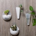 thumbnail image 4 of Maceta colgante de pared hidropónica, florero colgante de pared, maceta colgante de pared de plástico perezoso, maceta colgante de pared verde, 4 of 5