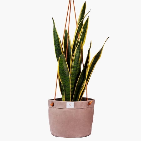 Concept Casa - Waxed Canvas Handmade Hanging Planter for Indoor/Outdoor Plants  Hanging Basket 8” x 7” Plant Holder (Stone Gray)