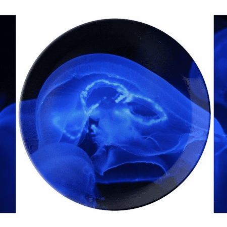 

Tropical Sea Jellyfish Marine Organism Plate Decorative Porcelain Salver Tableware Dinner Dish