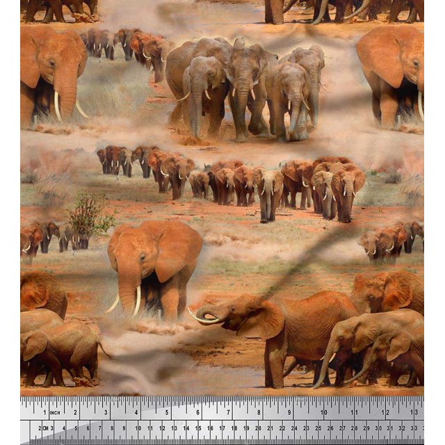 Soimoi Cotton Poplin Fabric tree & elephant Animal Printed Fabric 1 Yard 56 Inch Wide