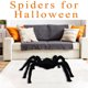 thumbnail image 2 of Adorno de araña de peluche con forma de calavera de Halloween, gran araña, 2 of 5