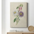 thumbnail image 6 of Antique Garden Bouquet III Premium Gallery Wrapped Canvas - Ready to Hang, 6 of 9