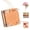 Style 2, variant on Micro Flower Press Small Flower Press Kit Portable Mini Plant Preservation Kit for Arts and Crafts Lover Compact Pocket Sized Tool