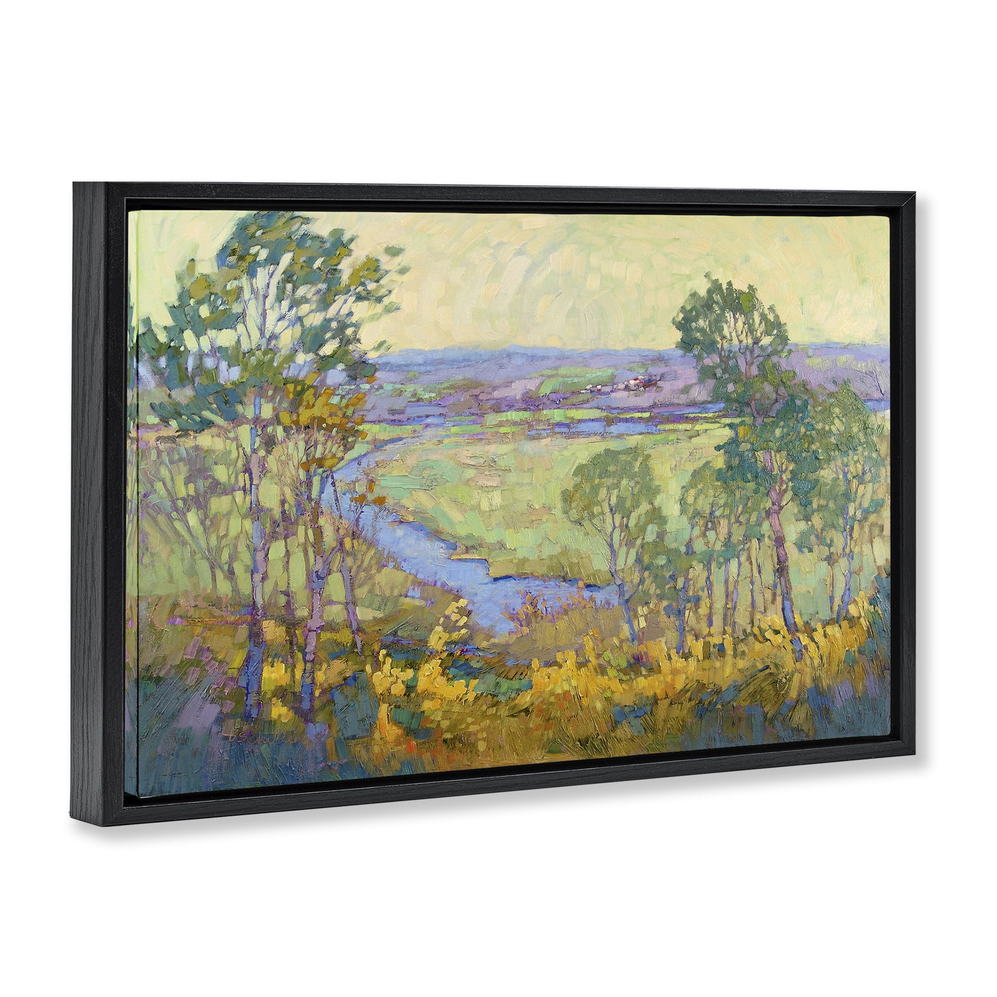 Stupell Industries Abstract Winding Stream Landscape & Nature Painting Black Floater Framed Canvas Art Print Wall Art, 31 x 21