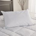 Isotonic IsoCool Polyester Bed Pillow, Queen