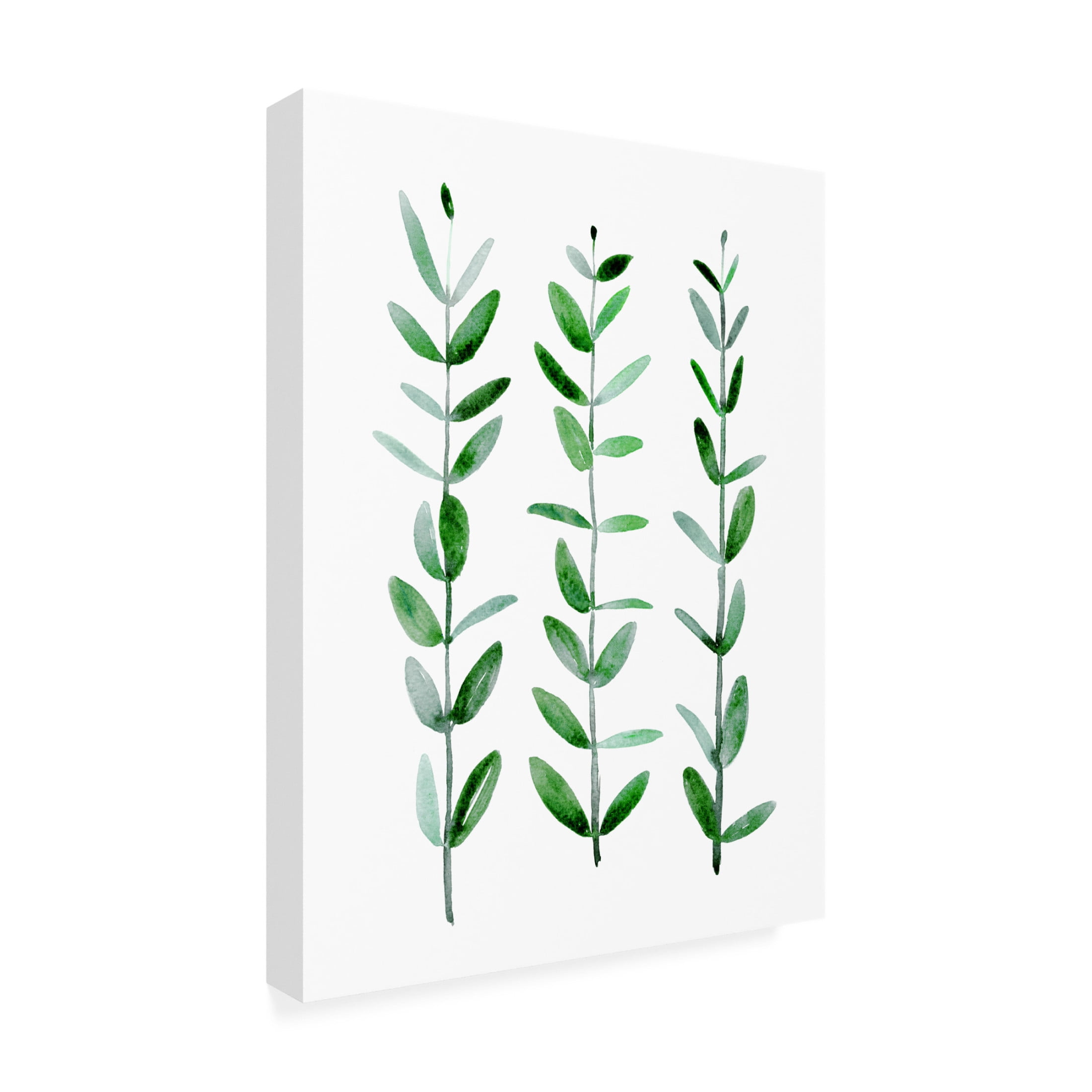 Trademark Fine Art Rosana Laiz Blursbyai Watercolor eucalyptus parvifolia Canvas Wall Art