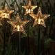 thumbnail image 5 of Luz para Jardín Luces de camino Navidad 5 LED Solar Año Nuevo Decoración de jardín (Estrella) Likrtyny Para estrenar, 5 of 9