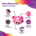 thumbnail image 3 of CHOK Ballimals Pig Squeaky Plush Chew Guard  Ball  Fetch Dog Toy (2 Pack), 3 of 8