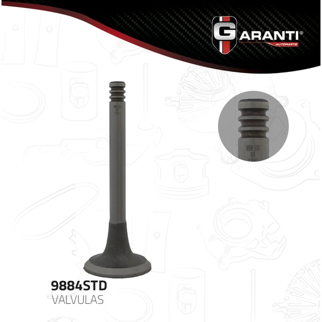 Valvula Escape Garanti Para Audi 80 1988 - 1992 (Garanti)