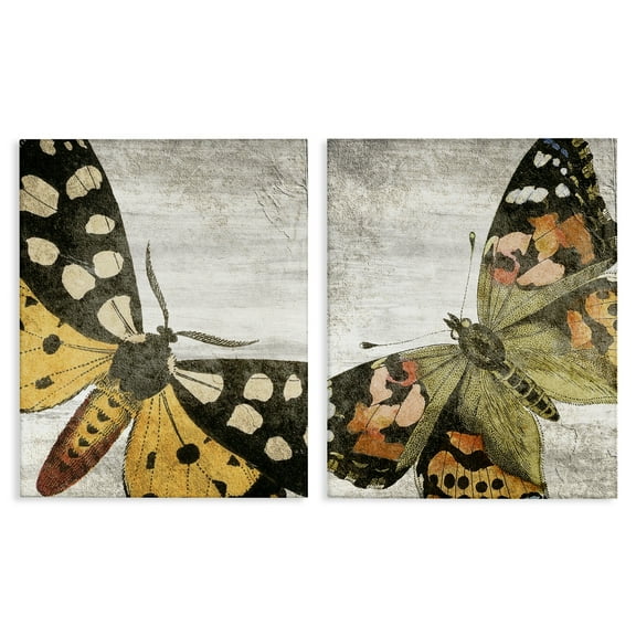 Stupell Industries Vintage Spotted butterflies Animals Painting Wrapped Canvas Art Print Wall Art, 16 x 20, Set of 2