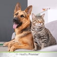 thumbnail image 6 of Four Paws Healthy Promise Pet Blood Stopper Gel 1.16 Ounce (1 Count), 6 of 9