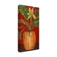 thumbnail image 2 of Trademark Fine Art 'Tropical Flower In Wicker' Canvas Art by Pablo Esteban, 2 of 3