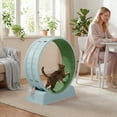 thumbnail image 5 of UBesGoo 31in Cat Exercise Wheel, Safe PP Treadmill with Green Mat & Free Teaser Wand, Light Blue, 5 of 13
