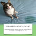 thumbnail image 6 of RAGUPEL Enzyme Cleaner & Odor Eliminator for Strong Odor - Pet Stain Remover for Carpet,Upholstery,Hardwood,Dog & Cat Urine - Powerful Deodorizer for Home,Floors,Furniture,& Carpet Cleaning, 6 of 7