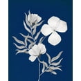 thumbnail image 2 of Gunn, Kourtni 26x32 White Modern Wood Framed Museum Art Print Titled - Indigo Sketch II, 2 of 4