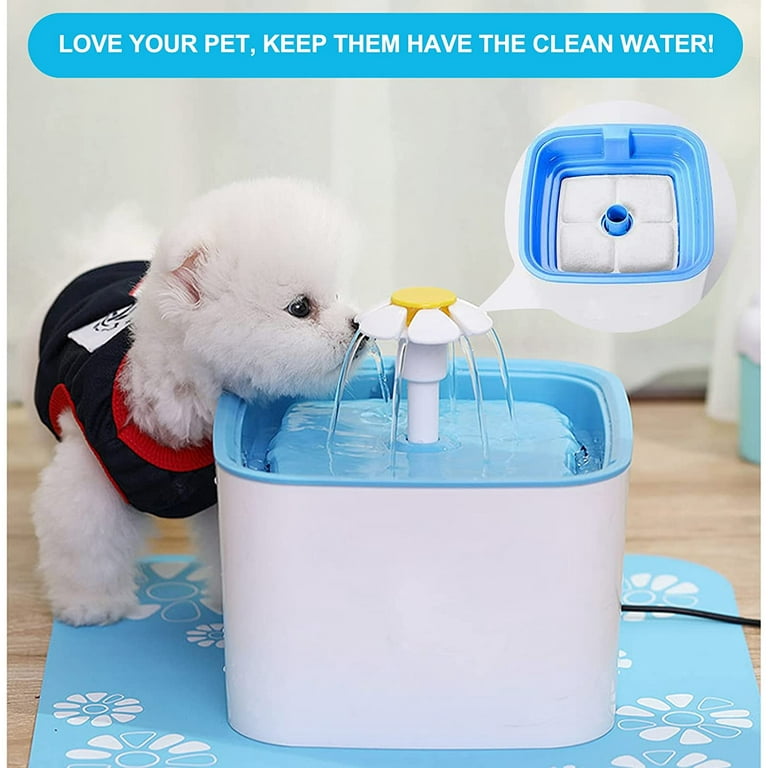 Remplacement Du Filtre De Fontaine Cat,Filtre De Fontaine D'Eau