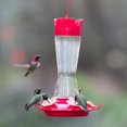 thumbnail image 6 of Perky-Pet Top-Fill Pinch-Waist Glass Hummingbird Feeder - 12 oz, 6 of 12