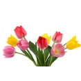 thumbnail image 2 of Beautiful Tulips Wall Decal by Wallmonkeys Peel and Stick Graphic (48 in W x 26 in H) WM149046, 2 of 4