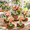 Babysbreath, variant on 6 Sets Jungle Animals Woodland Table Centerpieces DIY Kit for Themed Party Decor