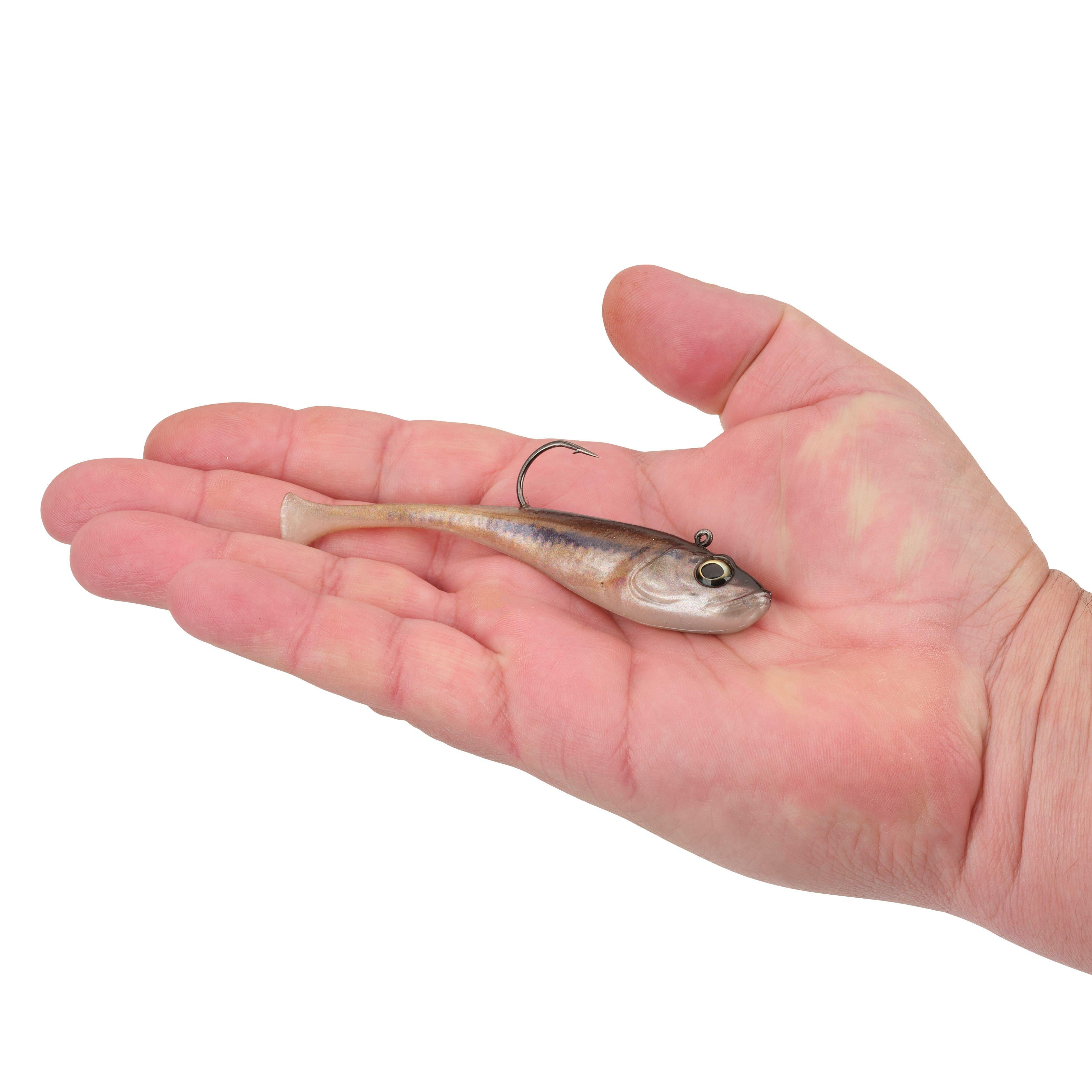 Berkley PowerBait® Power® Switch, 4.25 in, HD Blacknose Shiner