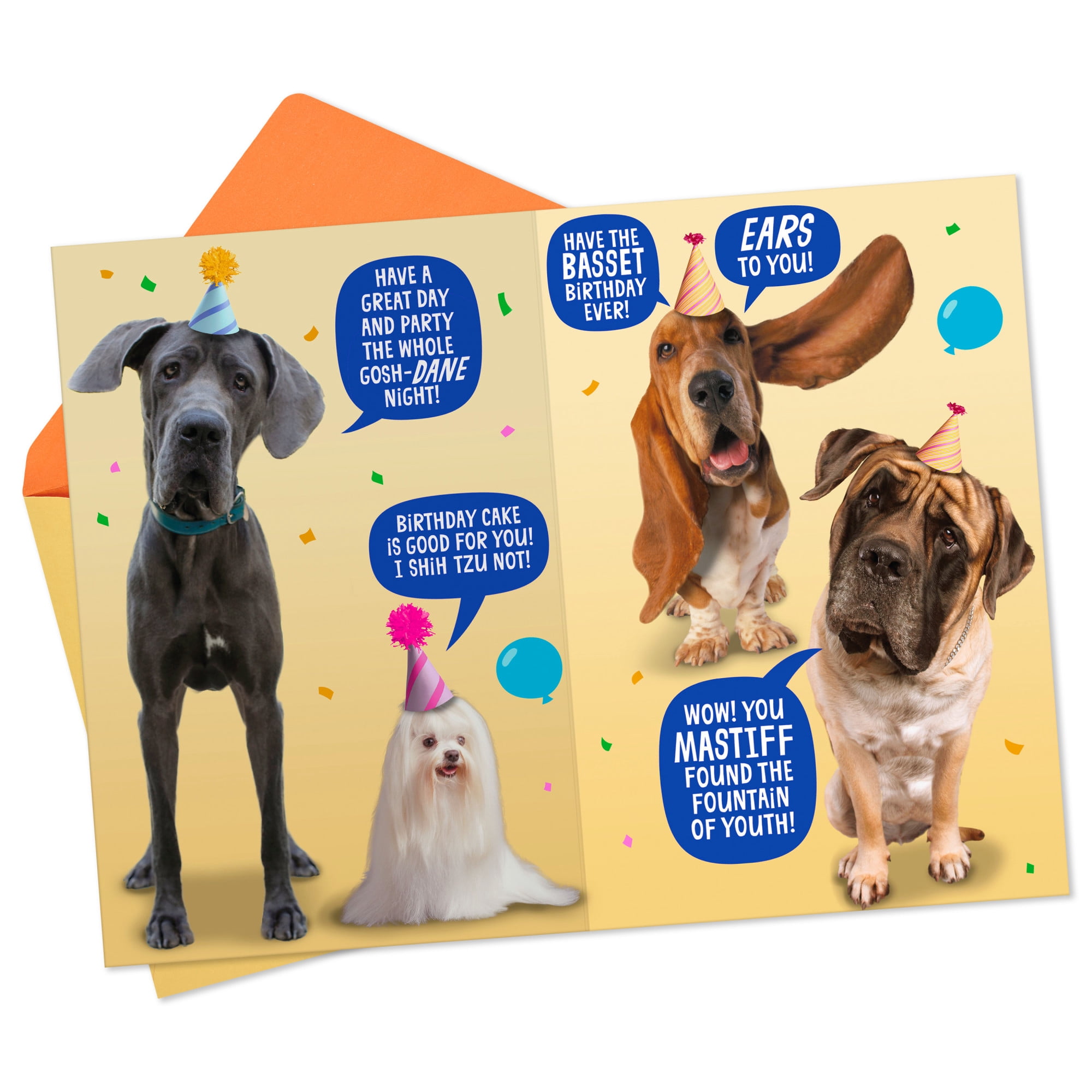 Hallmark Funny Birthday Card (Wishing You a Treat-Filled Celebration)