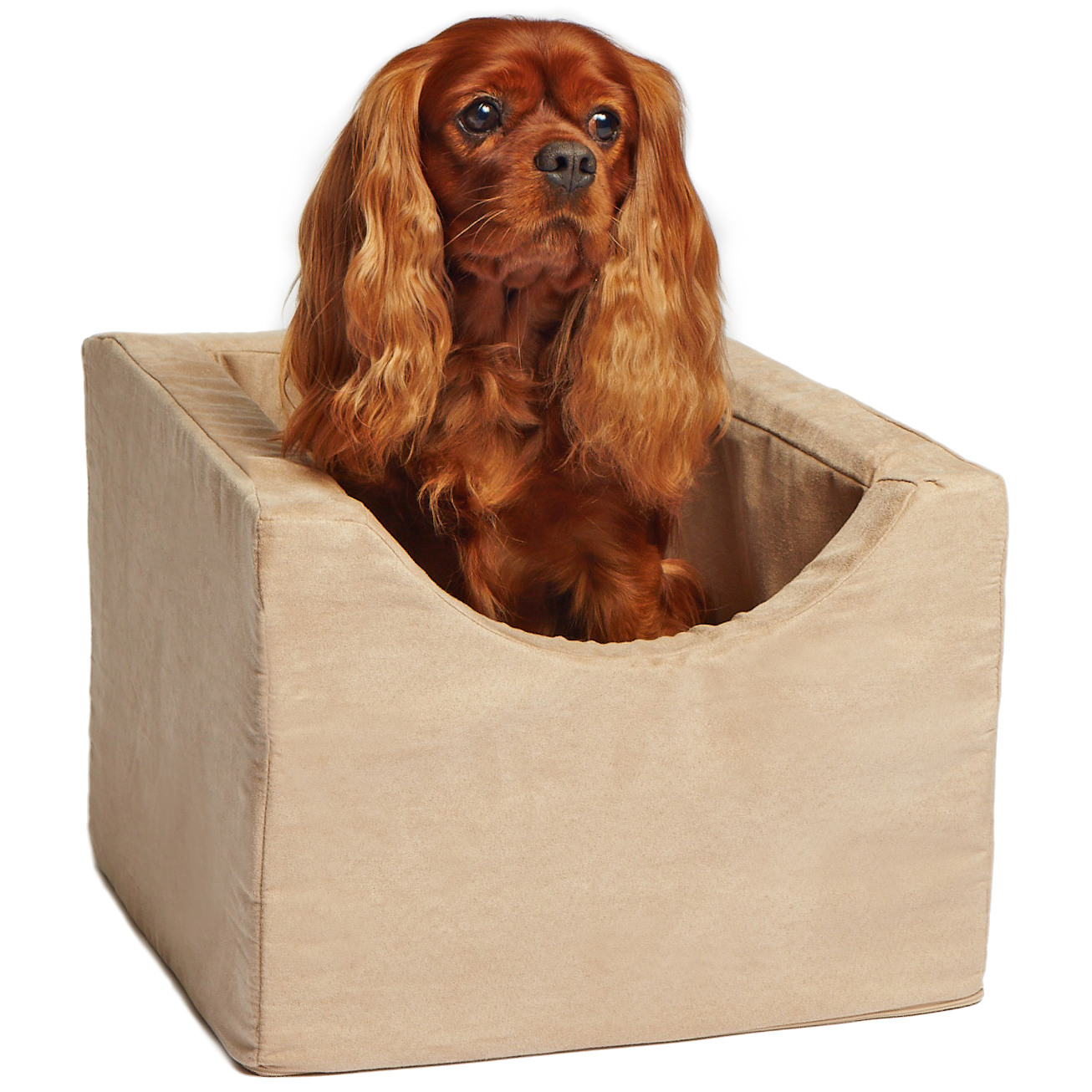 Precious Tails High Density Foam Pet Car Booster Seat
