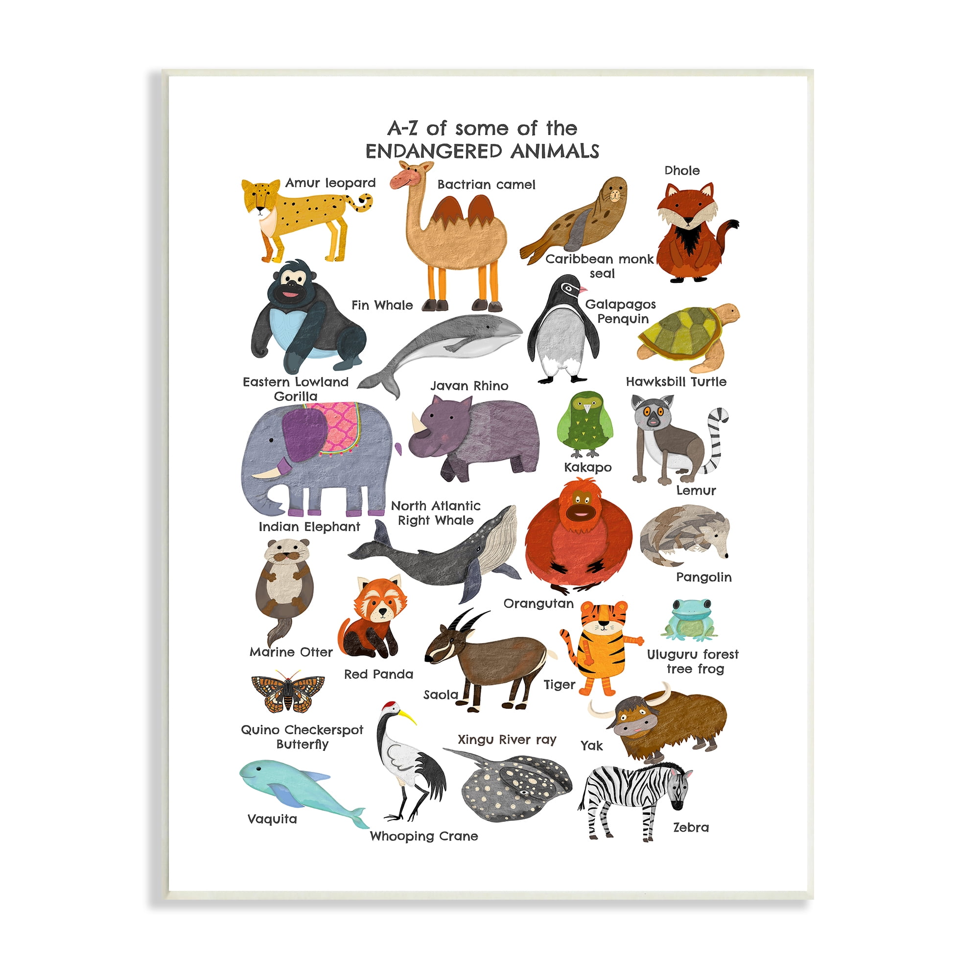 Stupell Industries Children's ABC chart of Endangered Animals Fun Alphabet,  13 x 19,Design by Sangita Bachelet 
