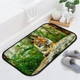 thumbnail image 4 of Floor Door Mats Bath Rugs Tiger in Zoo , Entry Rug Non-Slip Washable Indoor Door Mat, Small Oriental Accent Throw Rug for Bedroom Kitchen Entryway Bathroom 36x24in Carpet Runner, 4 of 7