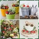 thumbnail image 5 of Accesorios de jardín de hadas salvajes Erizos de resina y setas de madera Jardín en miniatura Hada de Navidad Figuras de animales de jardín al aire libre para macetas Bonsai Decoración artesanal Hada JAMW Sencillez, 5 of 5