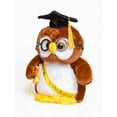 thumbnail image 2 of 10" Brown Owl Graduation Commencement Plush with Cap and Diploma in Hand - the Perfect Present For Your Grad, 2 of 2