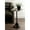 Gold, variant on Kate and Laurel Sanzo Modern Pedestal Round Side Table, 15 x 15 x 24, Antique Brass and Black, Circle End Table with Metal Tabletop for Use as Indoor Plant Stand or Bedroom Nightstand