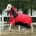 thumbnail image 3 of Manta de invierno para caballos Baoblaze poliéster impermeable 6000D 350 g Manta de participación pesada 145cm rojo, 3 of 8