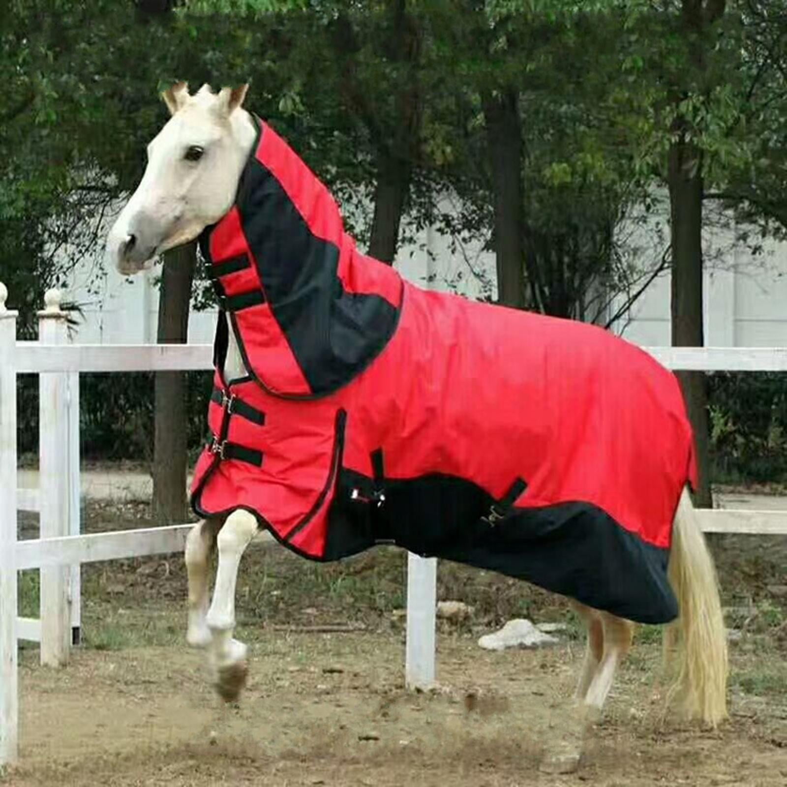 Walmart horse blanket hotsell