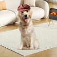 thumbnail image 3 of Dog Beret Hat Fashion Pet Cap French Style Baseball Hat for Party Birthday Wedding Photo Accessories, 3 of 3