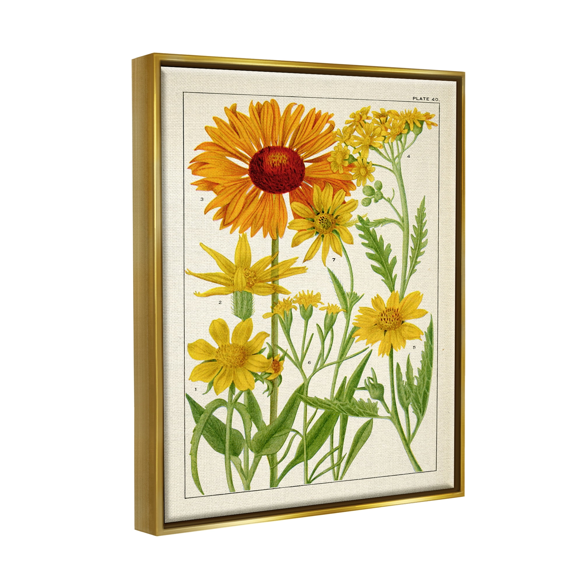Stupell Industries Yellow Flower Studies Botanical & Floral Painting Gold Floater Framed Art Print Wall Art, 17 x 21