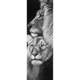 thumbnail image 3 of Atelier B Art Studio 11x24 Black Modern Framed Museum Art Print Titled - Lion and Lioness, 3 of 5
