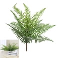 thumbnail image 1 of BKER Home Indoor Small For Outdoor For Indoor Outdoor Shelf Home Fern, 1 of 5