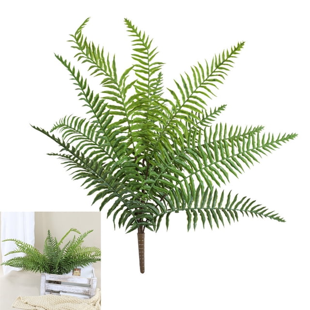 BKER Home Indoor Small For Outdoor For Indoor Outdoor Shelf Home Fern